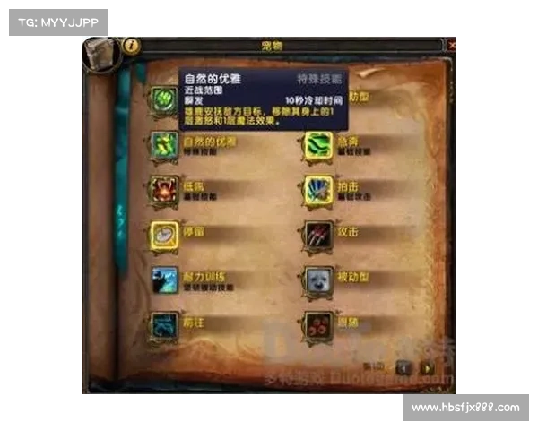 魔兽世界怀旧服:技能操作全攻略